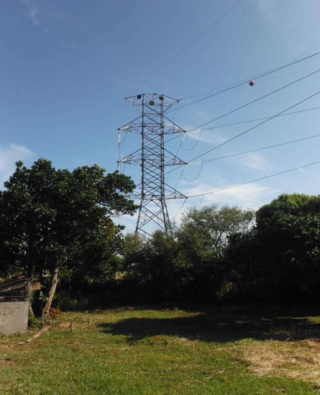 Licenciamento ambiental de linhas de transmissão