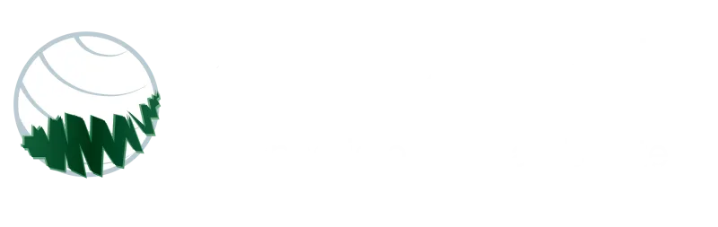 Engenharia e Meio Ambiente - Mineral Engenharia e Meio Ambiente - Mineral