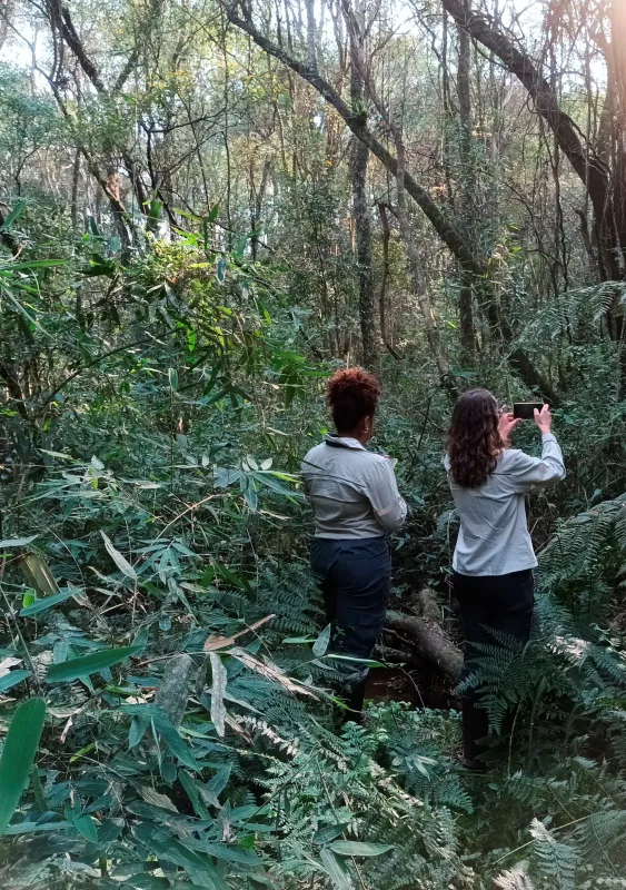 Serviços de Licenciamento Ambiental