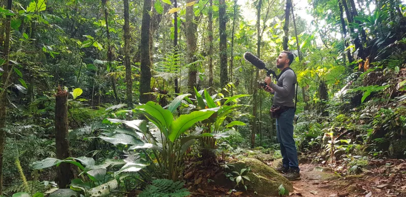 Serviços de Monitoramento Ambiental